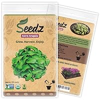 Organic Arugula Seeds, APPR. 550, Astro Arugula, Heirloom Vegetable Seeds, Certified Organic, Non GMO, Non Hybrid, USA