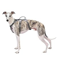 Escape Proof Harness, No Slip Dog Harness Escape Proof,Fully Reflective Harness with Handle, Breathable,Durable, Adjustable Vest for Medium Dogs Walking, Training, and Running Gear (Black,M)