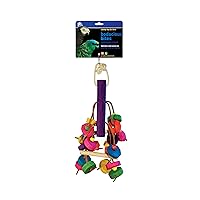 Prevue Pet Products Bodacious Bites Deliteful Bird Toy 60920