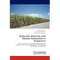Molecular Diversity and Disease Resistance in Sugarcane: Genetic diversity assessment by Microsatellite markers, in vitro micro propagation of Saccharum officinarum L. and SCMV Molecular Diversity and Disease Resistance in Sugarcane: Genetic diversity assessment by Microsatellite markers, in vitro micro propagation of Saccharum officinarum L. and SCMV Paperback