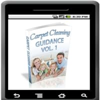 Carpet Cleaning Guidance