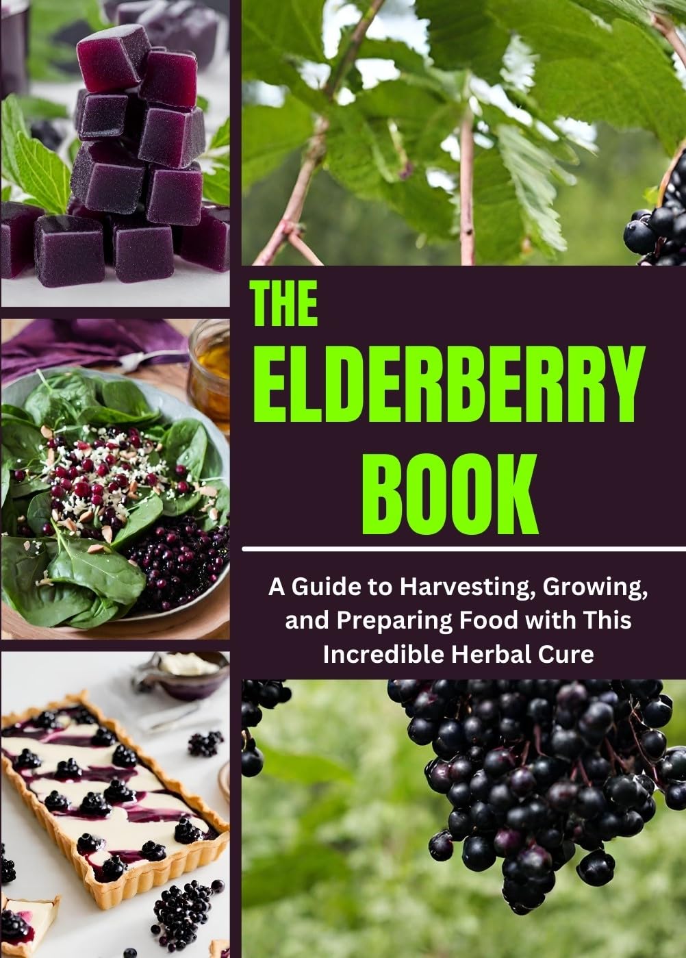 THE ELDERBERRY BOOK: A Guide to Harvesting, Growing, and Preparing Food with This Incredible Herbal Cure