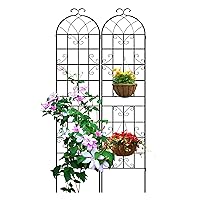 LZRS 2 Pack 87x20in Rustic Arch Garden Trellis with Black Metal Coating – Perfect for Supporting Climbing Plants Outdoor, Roses, Vines, Flowers, and Vegetables.