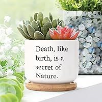 Set of 3 Small Ceramic Pots for Plants Death Like Birth is a Secret of Nature Succulent Pot for Family Motivational Quotes Ceramic Pots for Plants with Drainage Bamboo Trays