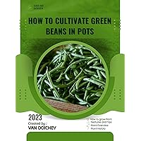 How to Cultivate Green Beans in Pots: Guide and overview