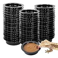 WACOOL Magnetic Reptile Ledge, Acrylic Gecko Feeding Ledge with 6PCS Cups, Reptile Food Water Feeder Dish for Geckos Iguana Chameleon Pets (Cups)