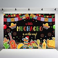 MEHOFOND Fiesta Boy Baby Shower Backdrop Mexican A Little Muchacho is On The Way Cactus Cinco Mayo Taco Photography Background Feliz CumpleañOs Banner Cake Table Supplies Photo Booth Props 10x7ft