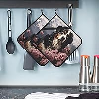 Bernese Mountain Dog Pot Holders Set of 2 Heat Resistant Potholders with Hanging Loops Non Slip Kitchen Oven Hot Pads Trivet for Cooking Baking