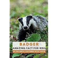 Badger: Amazing Fact for Kids (Picture Book) Badger: Amazing Fact for Kids (Picture Book) Paperback