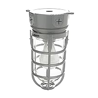 Woods L1706 Vandal Resistant Security Light With Ceiling Mount (150W Incandescent Bulb Silver)