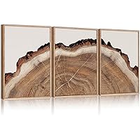 HPINUB Framed Tree Rings Wood Wall Art Set, Modern Beige Wood Stump Wall Decor, Abstract Black and Gray Tree Spiral Wall Painting,Nature-Inspired Art Print for Living Room, Bedroom, Dining Room, Office