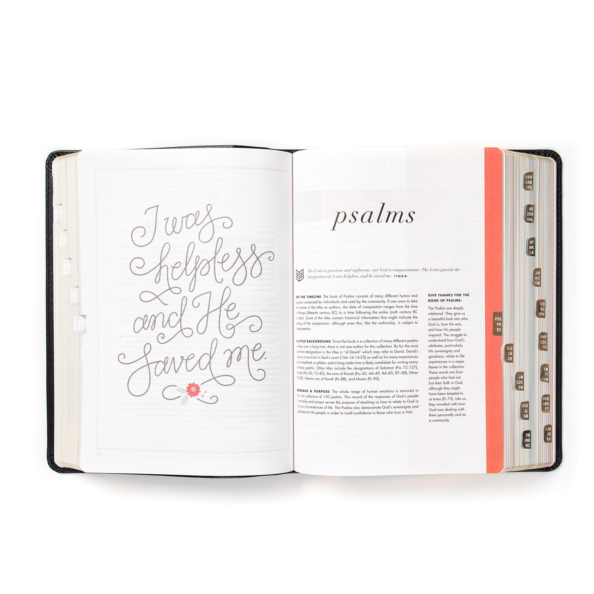 CSB She Reads Truth Bible, Black LeatherTouch Indexed, Black Letter, Full-Color Design, Wide Margins, Journaling Space, Devotionals, Reading Plans, Single-Column, Easy-to-Read Bible Serif Type