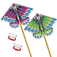 2 Pack Fish Kite, Eagle Kites, Bird Kites for Kids Ages 4-8 8-12 with 328FT Kite String Easy to Fly Beginner Kite for Beach Trip Park Boys Gift Family Outdoor Games and Activities