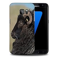 RAM Male Sheep Animal #2 Phone CASE Cover for Samsung Galaxy S7 Edge
