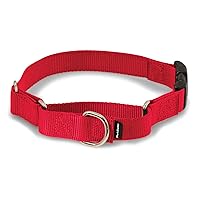 PetSafe Martingale Collar with Quick Snap Buckle, 1