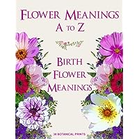 Flower Meanings A to Z: 38 Botanical Prints Including Birth Flower Meanings By Month Flower Meanings A to Z: 38 Botanical Prints Including Birth Flower Meanings By Month Paperback Hardcover