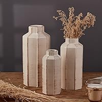 SIDUCAL Ceramic Rustic Farmhouse Vase Set of 3, Ice Cracked Glazed Terracotta Vase, Large Pottery Vase,Decorative Vases for Home Decor, Living Room, Shelf, Mantel Decoration(White)