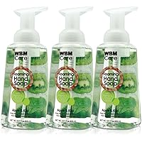 Care Foaming Hand Wash, Enriched with Apple and Kiwi, Moisturizer & Cleaner, Skin Care, Liquid Soap, 300ml/each (Pack of 3)