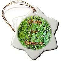 3dRose Image of Bed of Spinach with Crazy for Spinach On Photo - Ornaments (orn-310008-1)