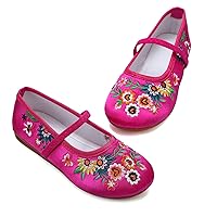 Encanto Costume Shoes Mary-Jane Flats Shoes Round Toe Low Wedge Ballet Flats Floral Embroidery Shoes for Girls Halloween Cosplay Dress Up