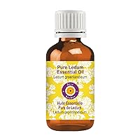 Deve Herbes Pure Ledum Essential Oil (Ledum groenlandicum) Steam Distilled 100ml (3.38 oz)