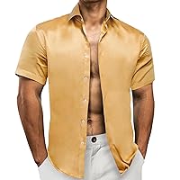Barry.Wang Hawaiian Shirt for Men Short Sleeve Button Floral Casual Tropical Holiday Beach Shirts