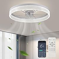 20‘’ Ceiling Fan with Light, 2024 Upgraded, Low Profile Fan, Flush Mount Ceiling Fan, 6 Speeds, Dimmable LED, App & Remote Control, Quiet DC Motor, For Bedroom, Living Room, F093 White-D