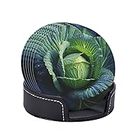 Bright Cabbage Drink Coasters Set of 6 with Holder Leather Coasters Non-Slip Cup Mat for Home Tabletop Decor 4 Inch