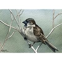 House Sparrow Watercolor Bird Art Print by Artist DJ Rogers