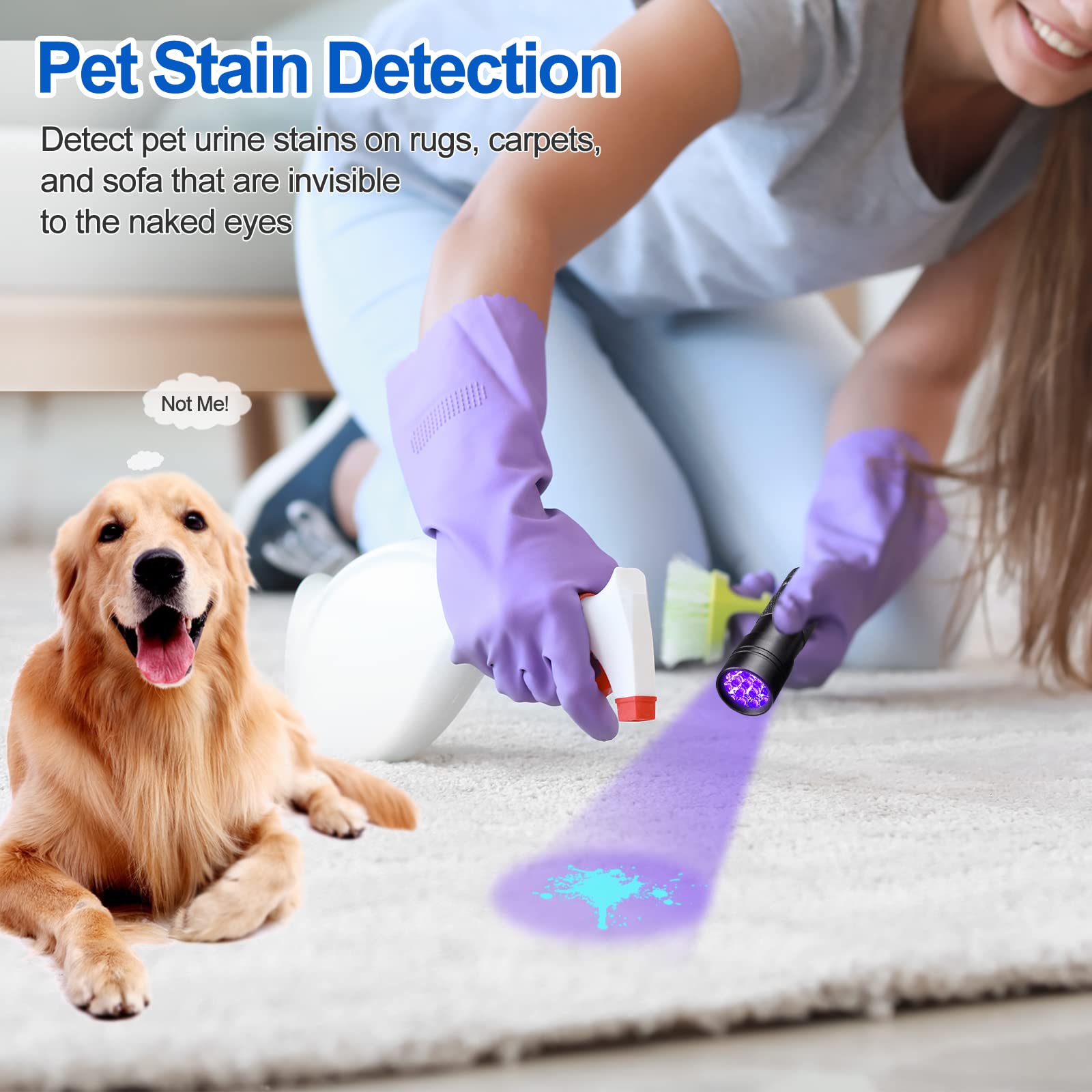 Vansky 【Recommend】 365nm and 12 LED 395nm Blacklight UV Flashlight Pet Urine Detector for Dog/Cat Urine, Dry Stains