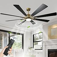 Depuley large Ceiling Fan with Lights, 72