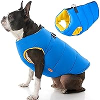 Padded Vest Dog Jacket - Solid Blue, Medium - Warm Zip Up Dog Vest Fleece Jacket with Dual D Ring Leash - Water Resistant Small Dog Sweater - Dog Clothes for Small Dogs and Medium Dogs