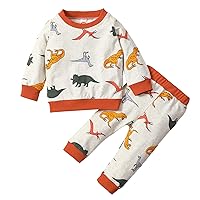 A Star is Born Outfit Infant Toddler Boys Girls Long Sleeve Cartoon Dinosaur Prints Pullover Tops Pants Outfits Kid Set (Orange, 12-18 Months)
