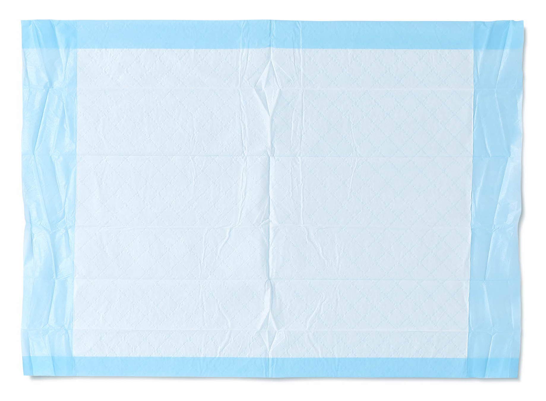 Medline Disposable Underpads 17 x 24 inch (100 Count), Baby Changing Pad for Changing Table, Small Puppy Pad, Pee Pad for Dogs, Ultra Lightweight Absorbency,Blue