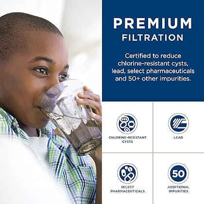 GE RPWFE Refrigerator Water Filter | Certified to Reduce Lead, Sulfur, and 50+ Other Impurities | Replace Every 6 Months for Best Results | Pack of 1