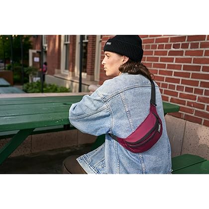 Dakine Classic Hip Pack