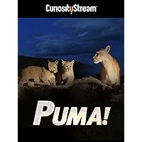Puma!