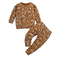 Sweatsuit Teen Girl Infant Toddler Boys Girls Long Sleeve Cartoon Dinosaur Prints Pullover Tops Pants Outfits Kids Pants Set (Brown, 2-3 Years)