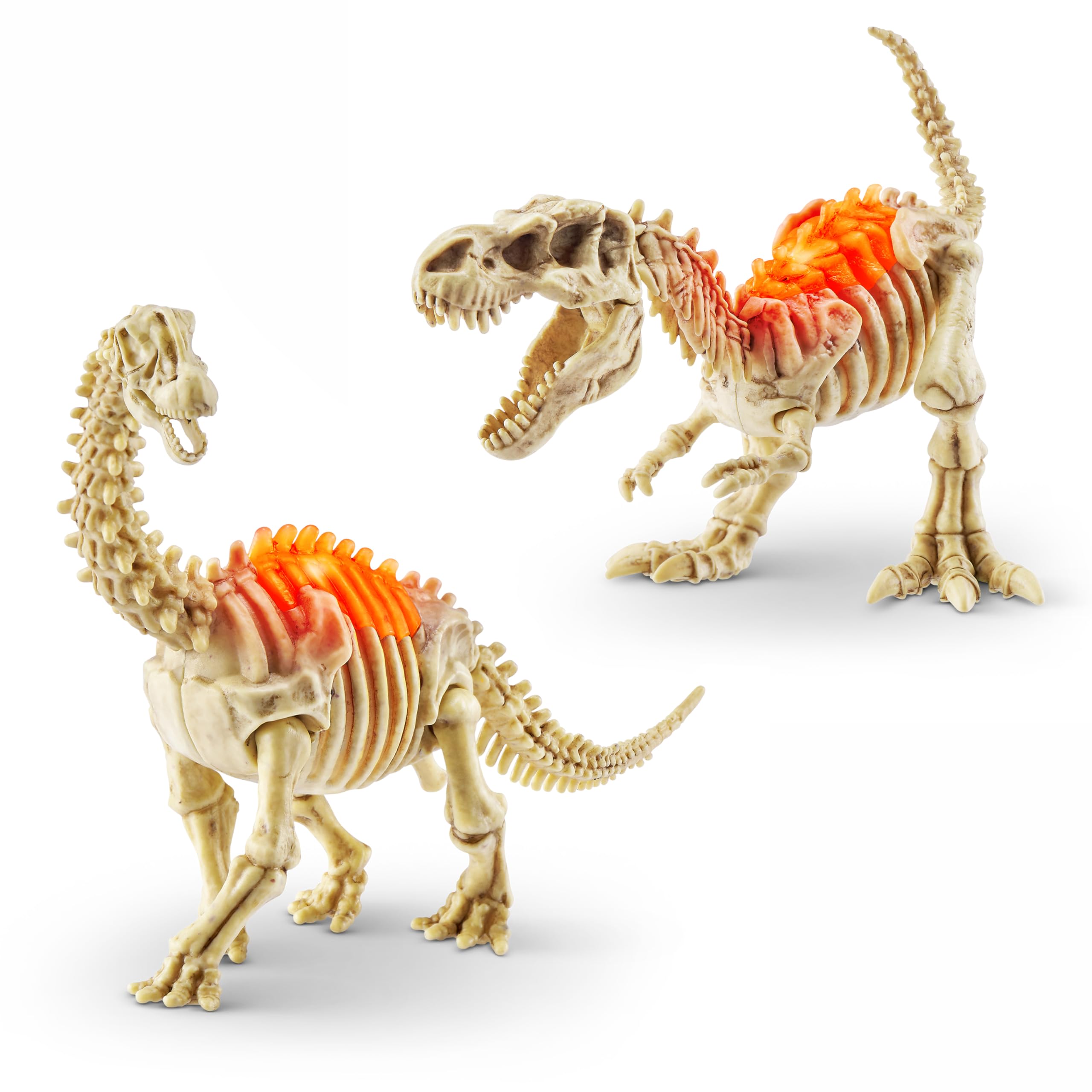 Robo Alive Mini Dino Fossil Find (2 Pack, T-Rex & Brontosaurus) by ZURU Boys 4-8 Dig and Discover, STEM, Excavate Prehistoric Fossils, Educational Toys, Great Science Kit Gift for Girls and Boy