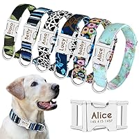 Beirui Personalized Dog Collar with Name Plate - Fashion Patterns Custom Dog Collar with Quick Release Buckle - Fits Medium Large Dogs,Blue Iris,L(Width 1
