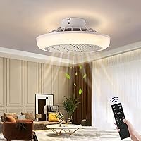 Ceiling Fan with Lighting Ceiling Fan Lights with Remote Control Timer Fan Ceiling Light Energy Saving Quiet Can Be Used In Summer And Winter