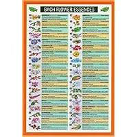 Natures Energies Bach Flower Remedies Essences Reference Guide Mini Chart Poster 9 x 6