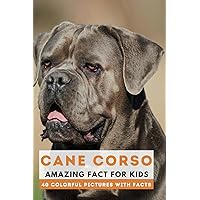 Cane Corso: Amazing Fact for Kids (Picture Book) (This Wonderful Planet) Cane Corso: Amazing Fact for Kids (Picture Book) (This Wonderful Planet) Paperback