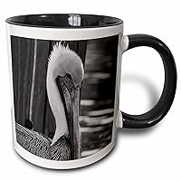 3dRose Pelican By Wood Piling Two Tone Mug, 11 oz, Black