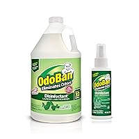 Ready-to-Use Disinfectant and Odor Eliminator, Set of 2, 4 Ounce Travel Spray and 1 Gallon Concentrate, Original Eucalyptus Scent
