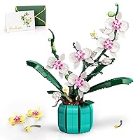 JOJO&Peach Orchid Bonsai Building Set, Botanical Collection, Artificial Flowers for The Home or Office, Gifts for Mother's Day, Anniversary, Birthday (811 Pieces)