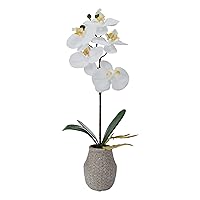 Mikasa Artificial Orchid in Pot, Real Touch Phalaenopsis Orchid, Embossed Weave Cement Pot, 16-Inch Single Branch, White/Yellow