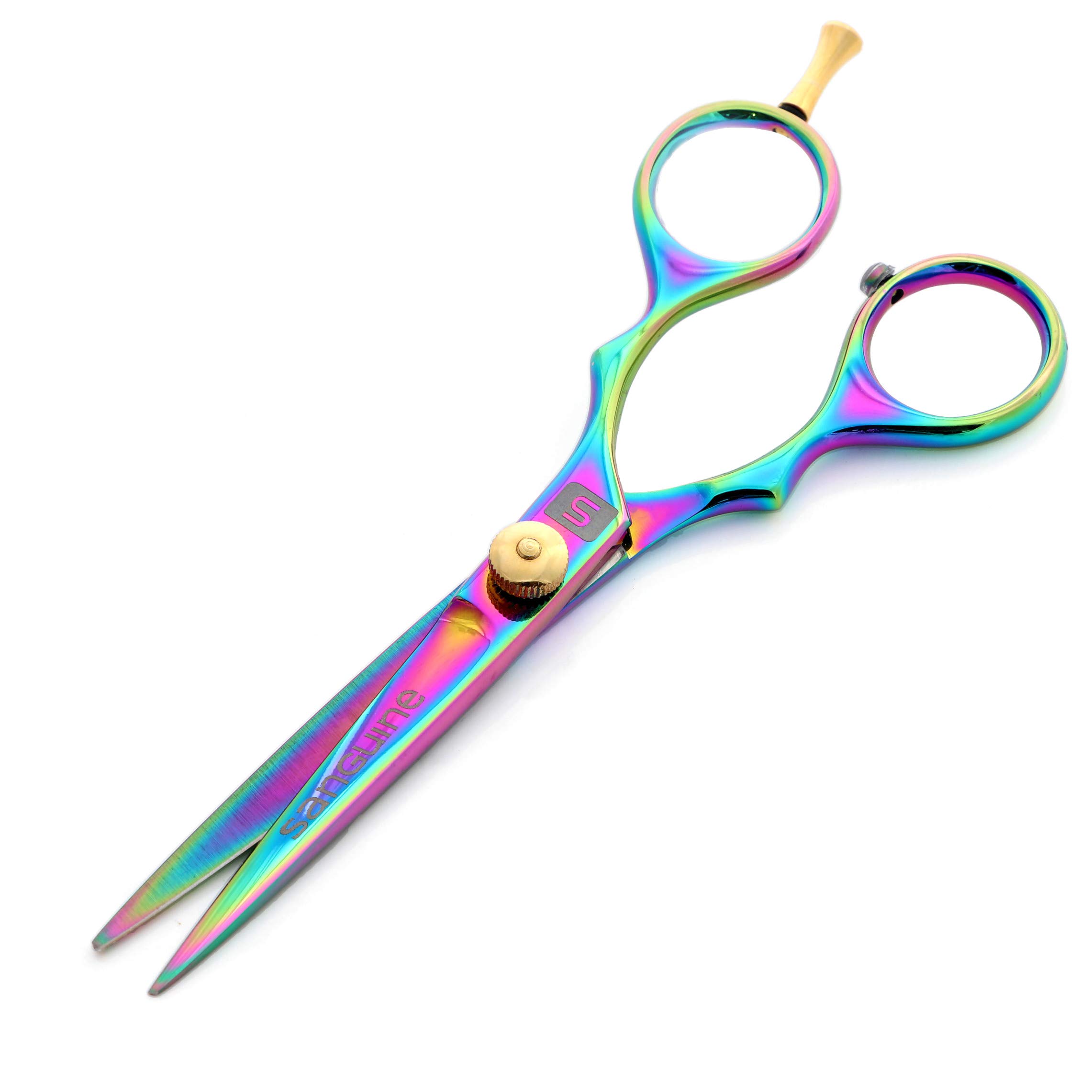 Hair Scissors for all Hair Types, 5.5 inch, Presentation Case & Tip Protector. Suitable for Hairdressers, Barbers, Professionals, Personal Use and for Beard or Moustache Trimming. Titanium