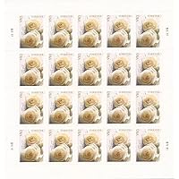 Wedding Roses Love Commemorative Forever Postage Book of 20 Self-Stick awareness vinyl for USPS First Class Envelopes (20)