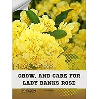 Grow, and Care for Lady Banks Rose: Become flowers expert